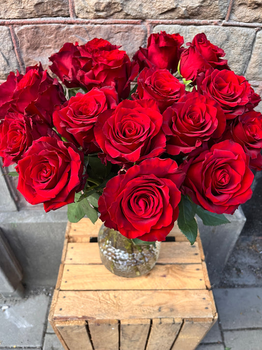 Red roses