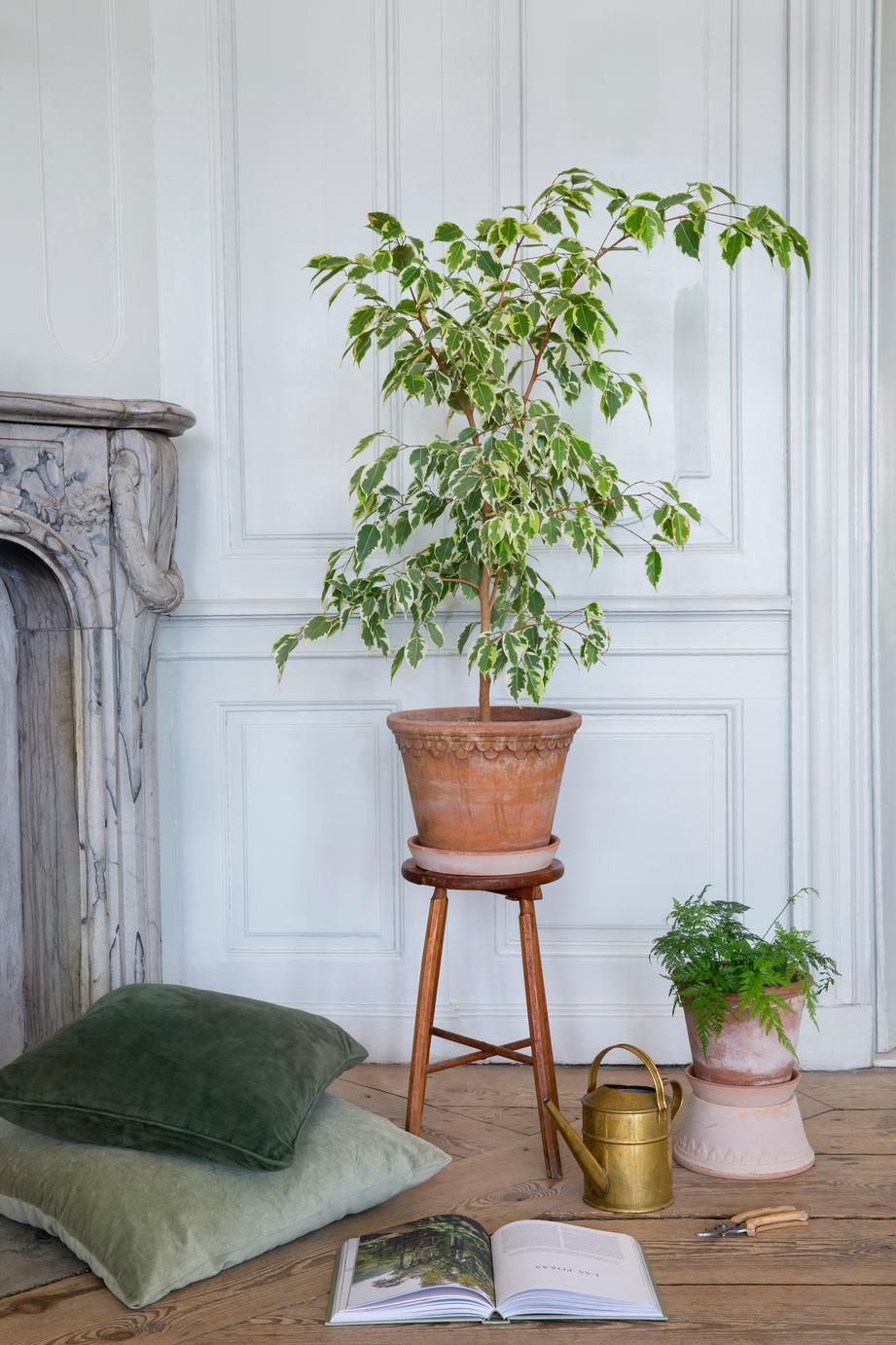 Enkla platser att dekorera med blommor – utan att göra om allt