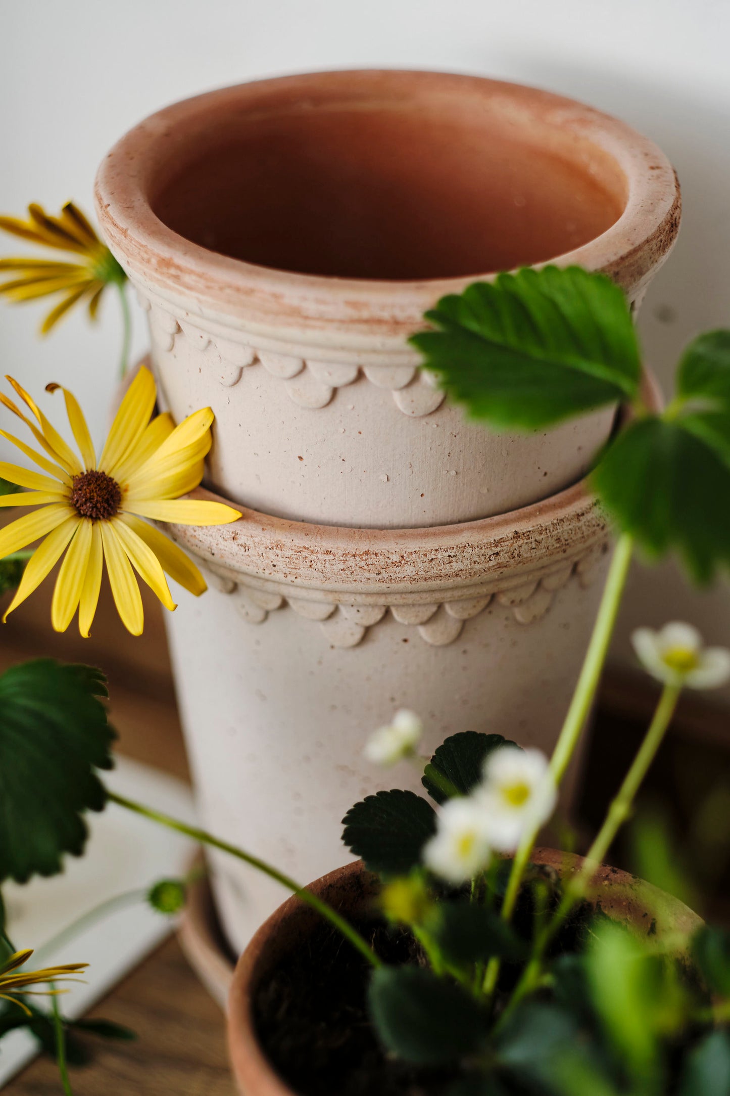 Bergs Potter Copenhagen Unglazed Pot