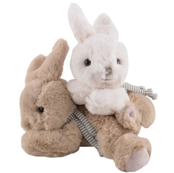 Kaniner - Buster och Coco