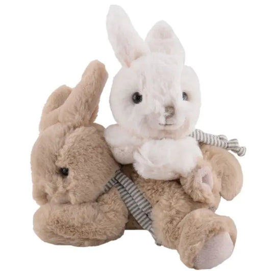 Kaniner - Buster och Coco