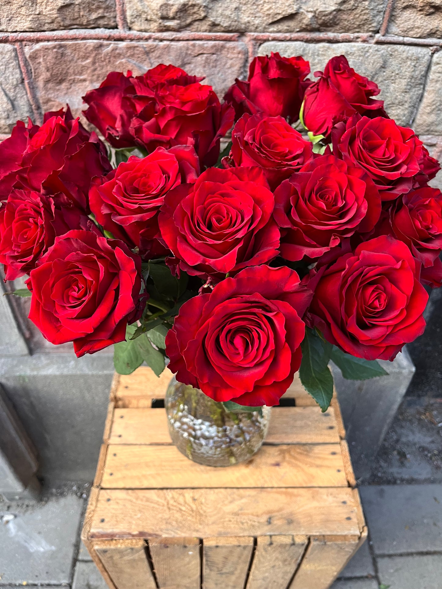 Red roses